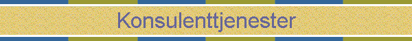 Konsulenttjenester